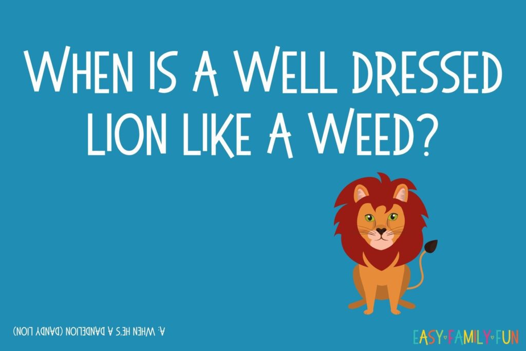 jokes for kids question: When is a well dressed lion like a weed? A: When he's a dandelion (dandy lion) on a blue background