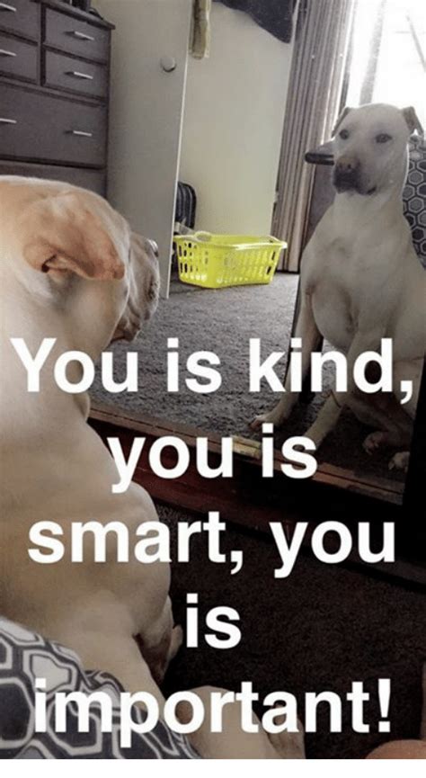 You is kind, you is smart, you is important. White dog staring at himself in the mirror, sitting up straight. 