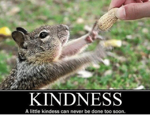 Kindness. A little kindness can never be done too soon. Squirrel reaching for peanut from someone's hand. 