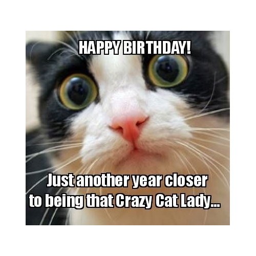 funny birthday memes for kids