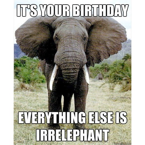 funny birthday memes for kids