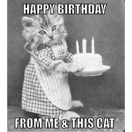 funny birthday memes for kids