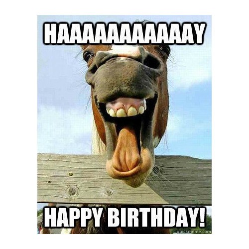 funny birthday memes for kids