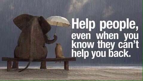 Help people, even when you know they can't help back. Elephant holding an umbrella to a cat, both sitting on a bench in the rain on a beach. 