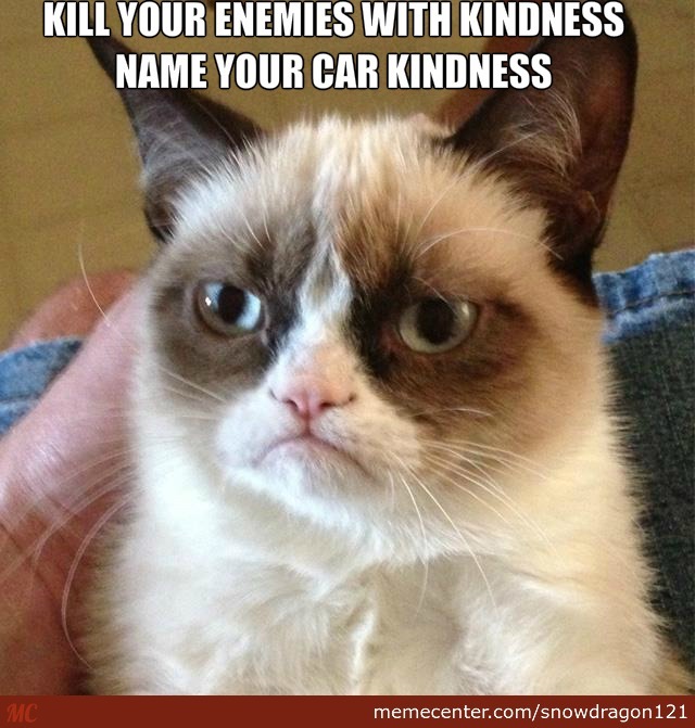 Kill your enemies with kindness. Name your car kindness. White cat with frowning face. 