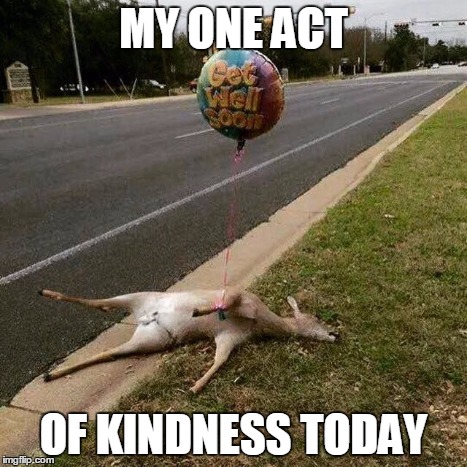 My one act of kindness today. Roadkill deer with a get well soon helium balloon tied to one of its legs on the side of the road. 