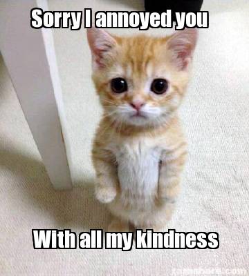 Sorry I annoyed you with all my kindness. Small kitten standing on hind legs staring face forward. 