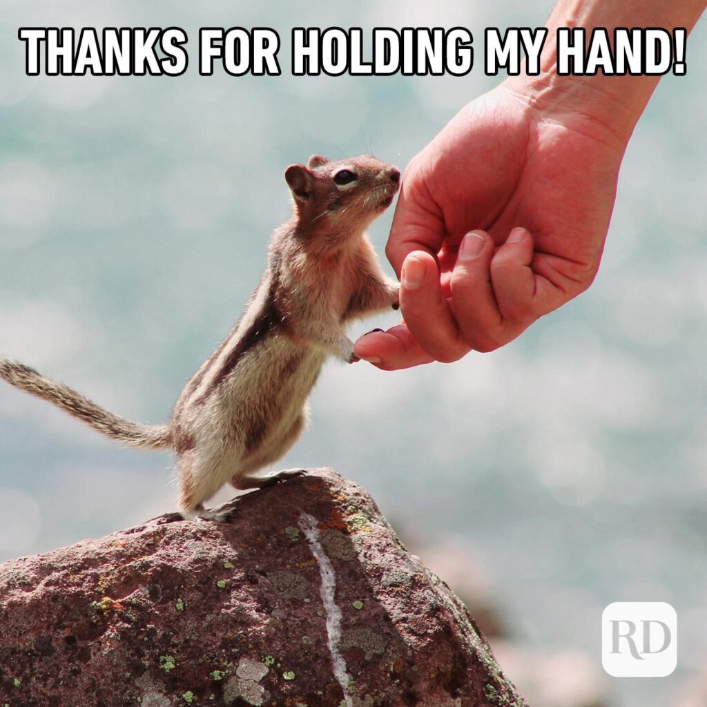 Thanks for holding my hand! Chipmunk putting front paws on someone's hand. 