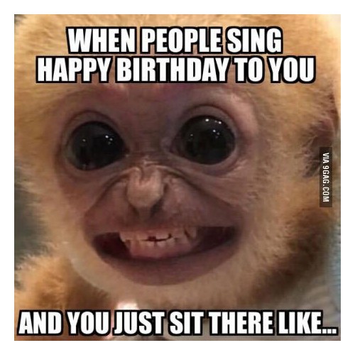 funny birthday memes for kids