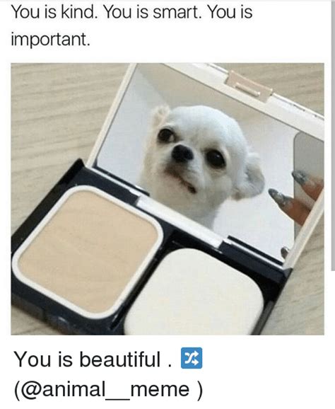You is kind. You is smart. You is important. White small dog looking at himself through a small makeup mirror. 