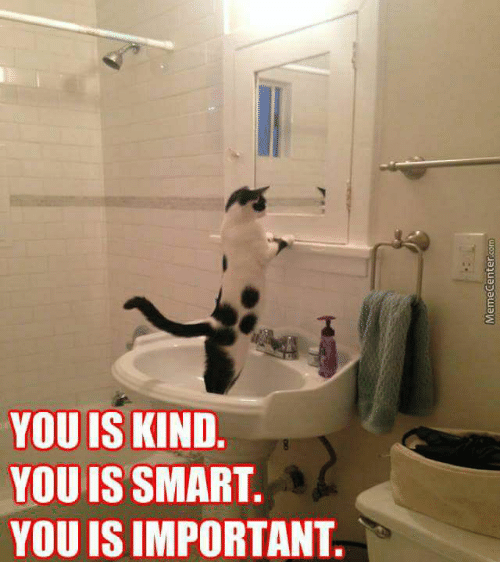 You is kind. You is smart. You is important. Black and white cat standing in sink with front paws on the mirror looking at itself. 