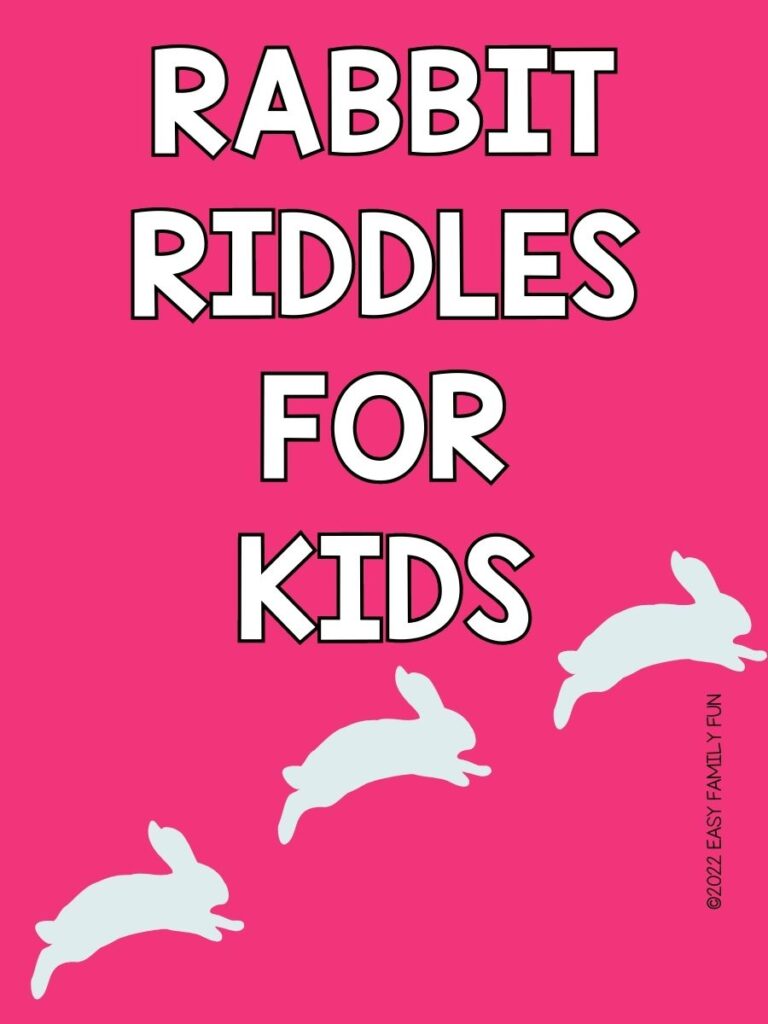 3 white rabbits on pink background with white text that says "rabbit riddles for kids"