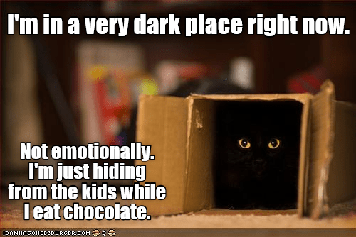 funny cat memes for kids