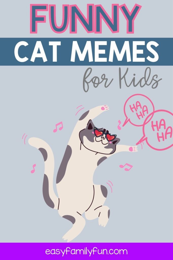 pin image: cat memes for kids with a cat dancing