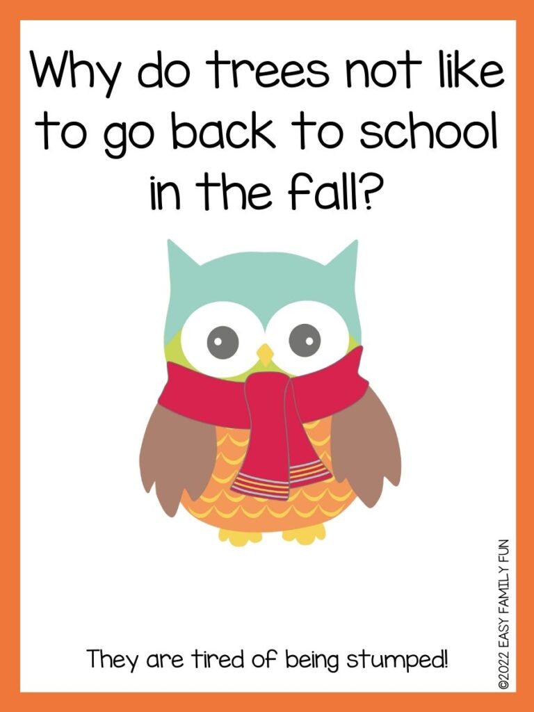 funny joke with image of fall owl and orange border