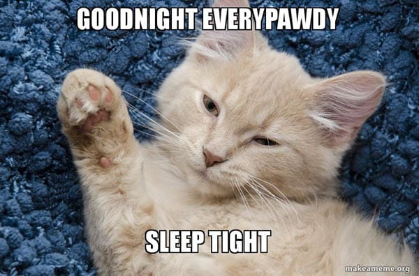 Good Night Memes - Easy Family Fun- Games, Trivia, and Jokes