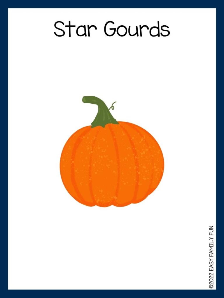 Star Gourds pumpkin pun for kids 