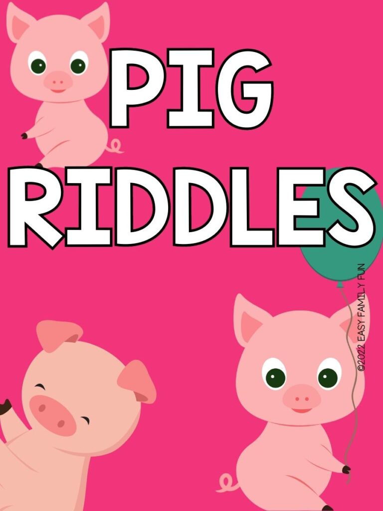 3 pigs with pink backgroung. It says pig riddles 