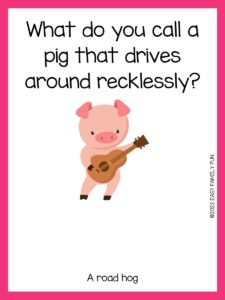 70+ Squealing Pig Riddles You'll Love