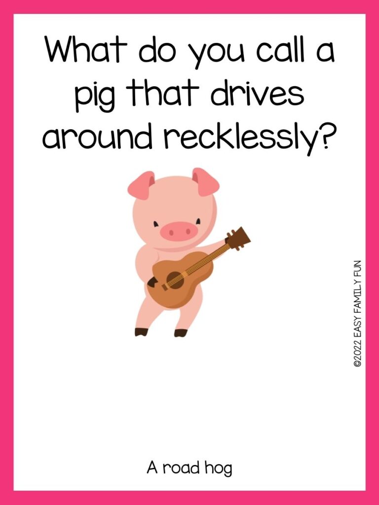 pig playing guitar