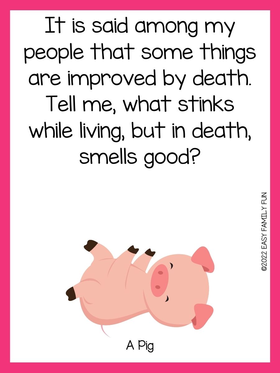 70+ Squealing Pig Riddles You'll Love