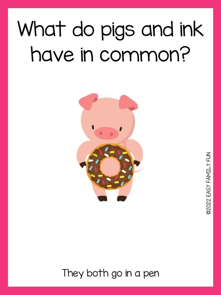 pig with donut with pink border