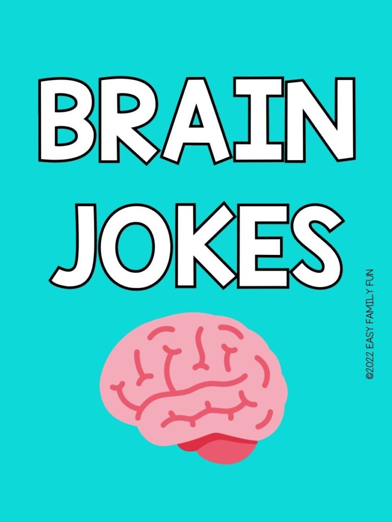 Cartoon brain with turquoise background and title Brain Jokes