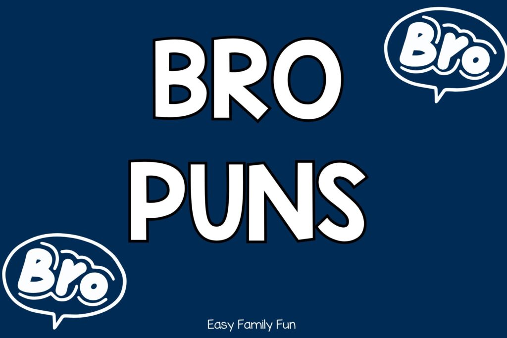 Speech bubbles saying Bro with blue background and the title Bro Puns