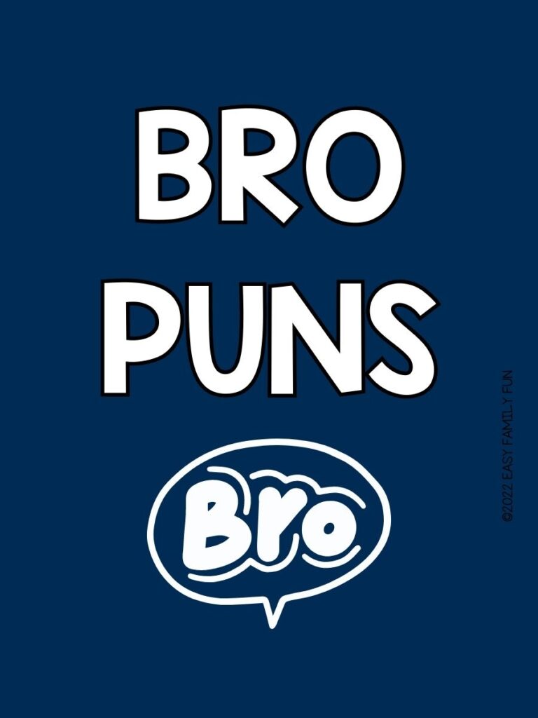 Speech bubble saying Bro with blue background and the title Bro Puns