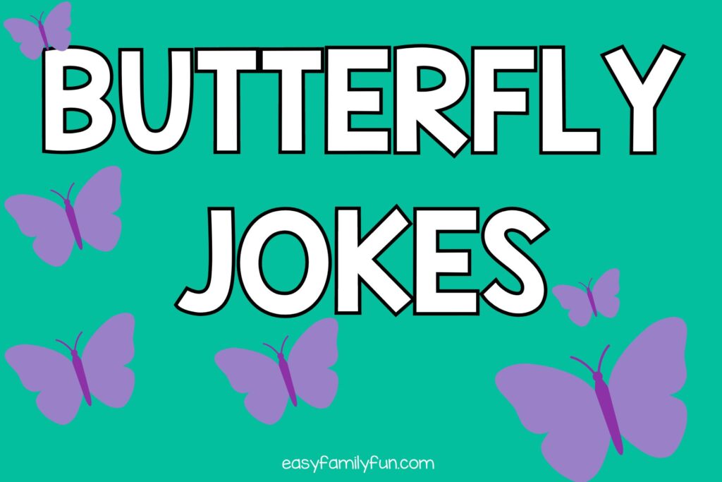 purple butterflies on green backgound with white text that says "butterfly jokes"