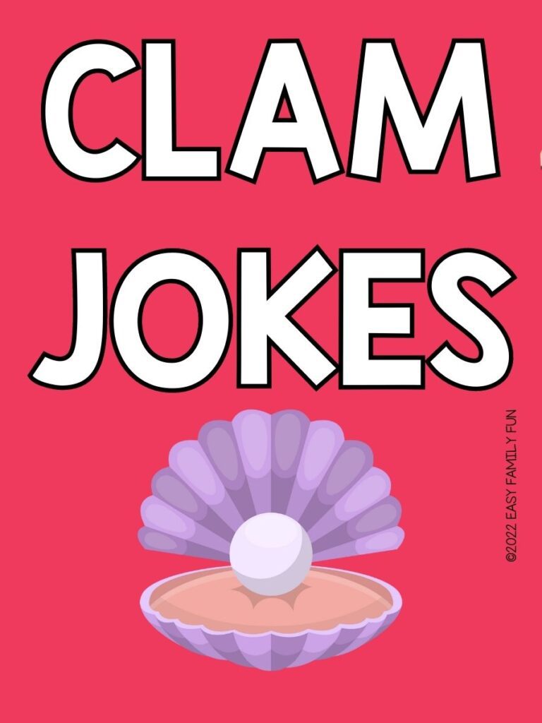 pin image: purple clam with pink background with white text that says "clam jokes"