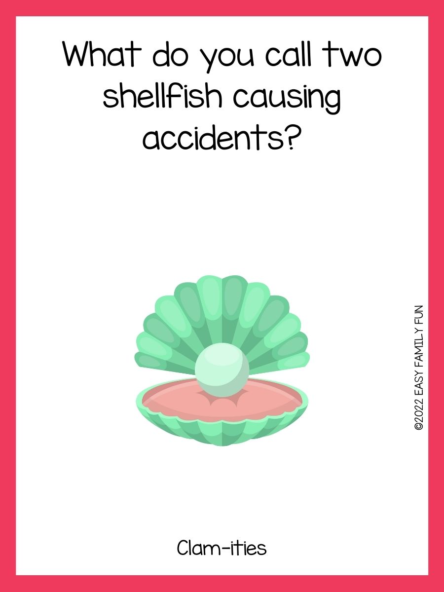 110 Clam Jokes That Are EspSHELLy Funny!