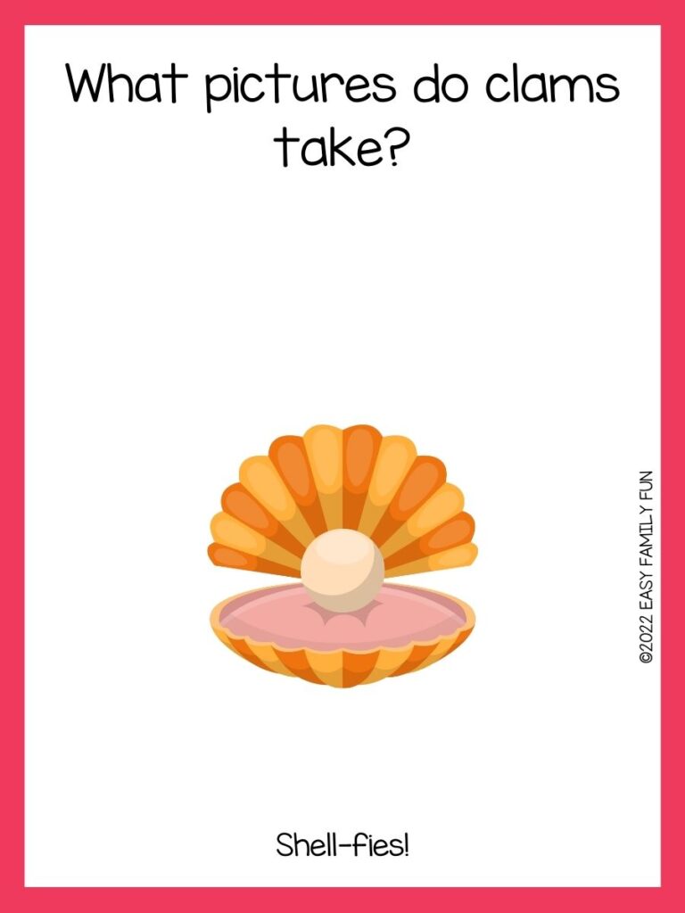 orange clam with pink border with a clam joke
