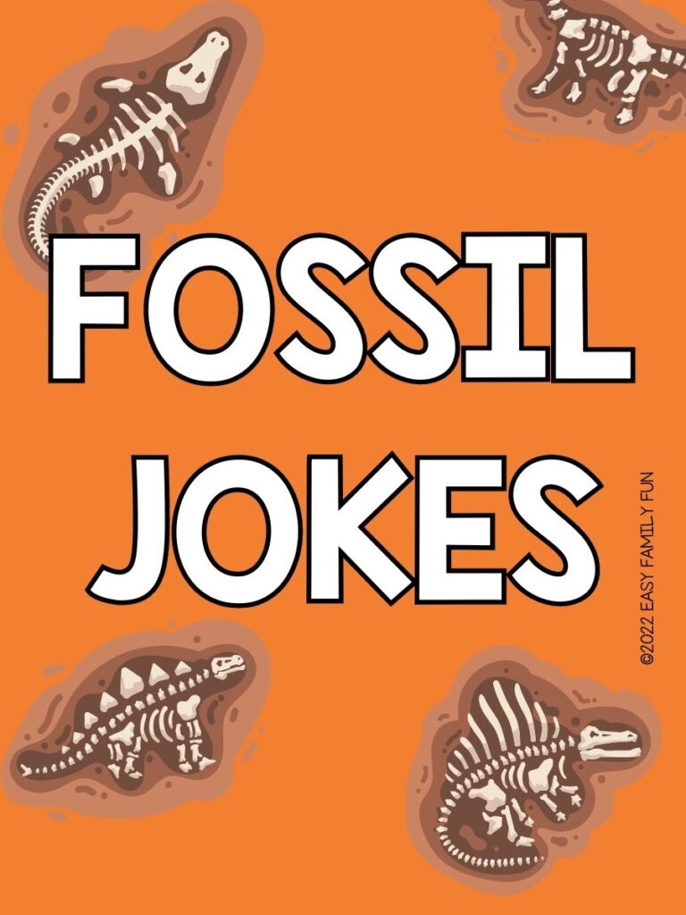 Pin image: orange background with brown fossils and white text with the words fossil jokes