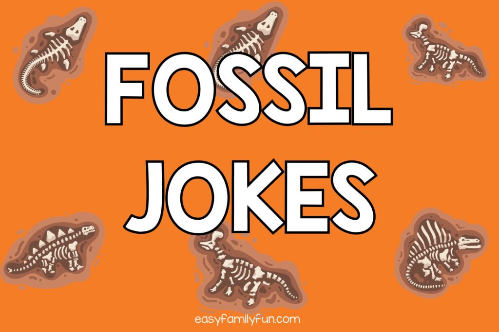 orange background with brown fossils and white text with the words fossil jokes