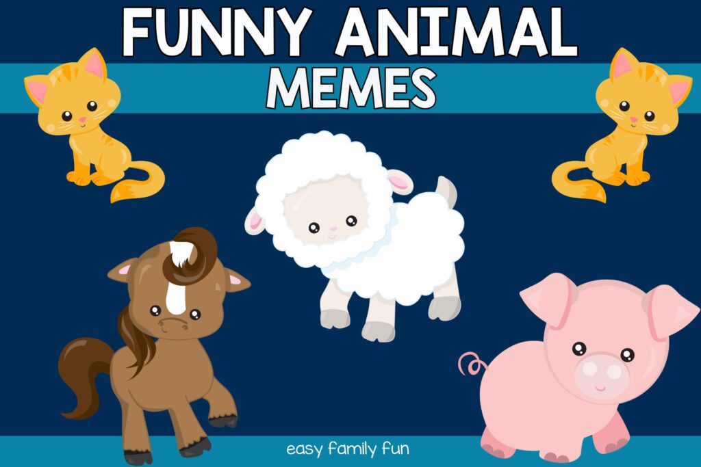 words: funny animal memes with pictures of cats, sheep, horse, and pig