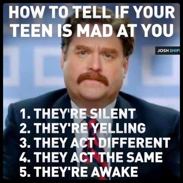 Hilarious Parenting Memes Easy Family Fun Games, Trivia, and Jokes