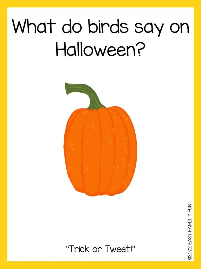 1 pumpkin with yellow border