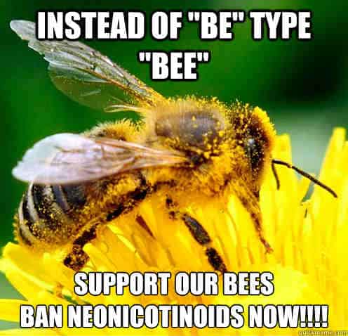 55 Beekeeper Memes - Easy Family Fun- Games, Trivia, and Jokes