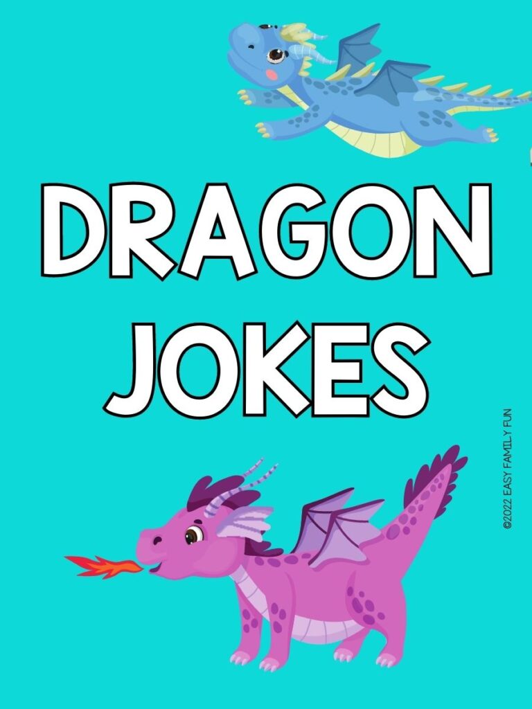 1 purple 1 dragon and 1 blue dragon on teal background with white text that says "dragon jokes"