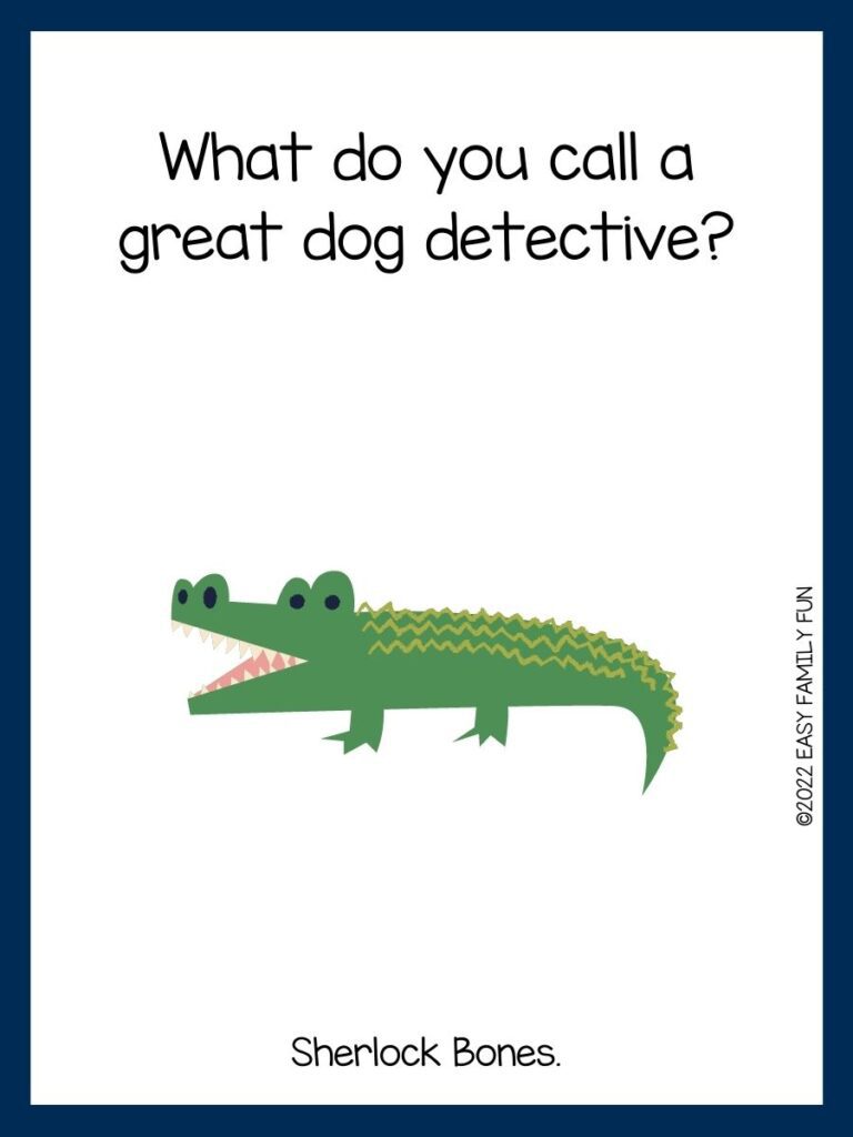 green alligator on white card with blue border and zoo joke