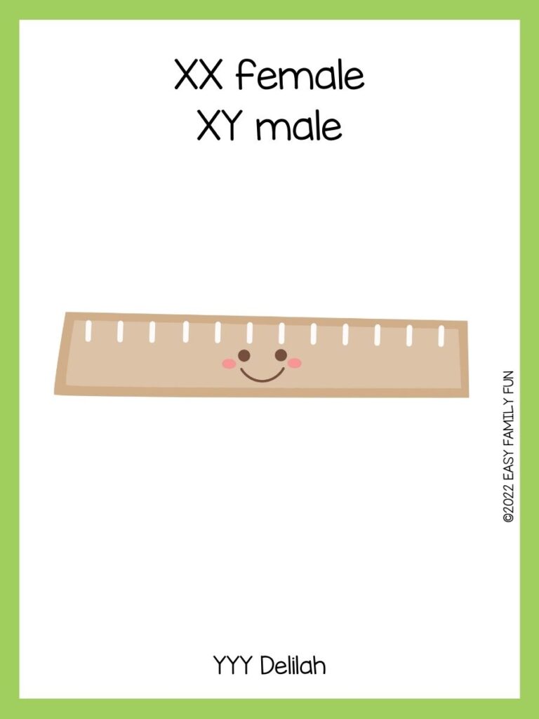 brown ruler with smile face on white card with green border with teacher jokes