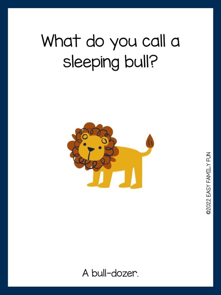yellow lion with brown mane, blue border with zoo jokes