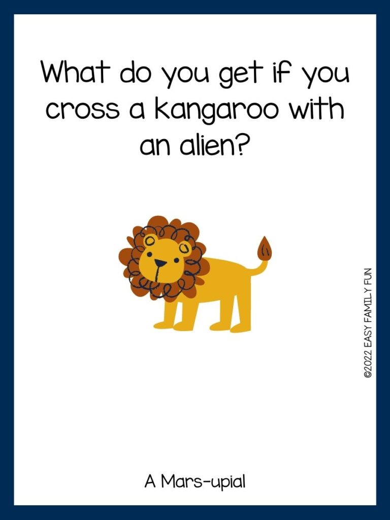 brown lion on white card with blue border and zoo joke