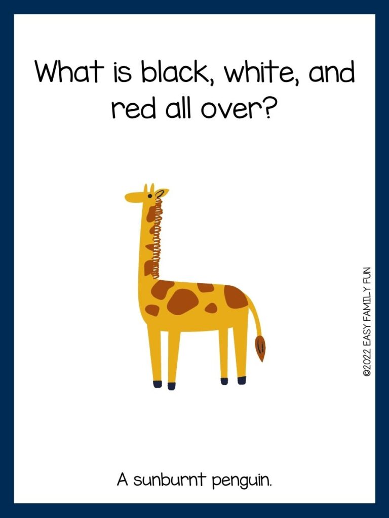 yellow and brown giraffe, blue border, zoo jokes