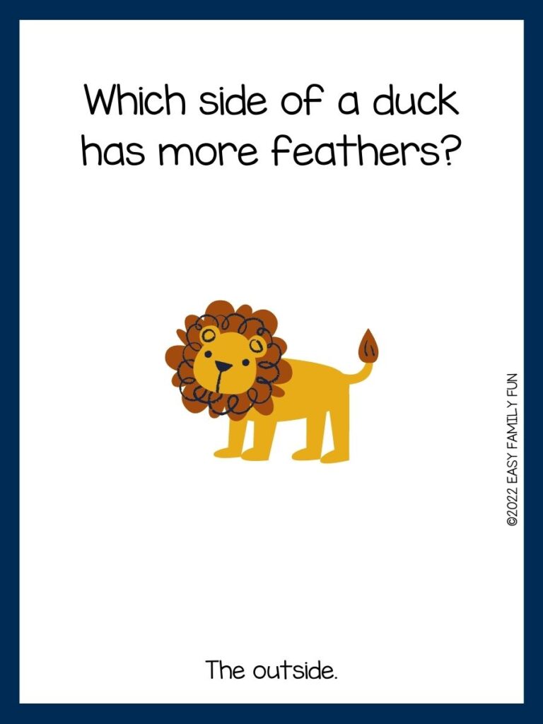 a zoo joke on a card with blue border, yellow lion with brown mane, zoo joke