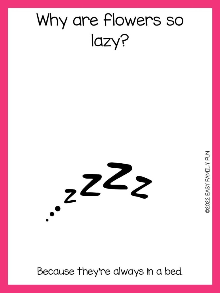 Zzzz with pink border and joke.