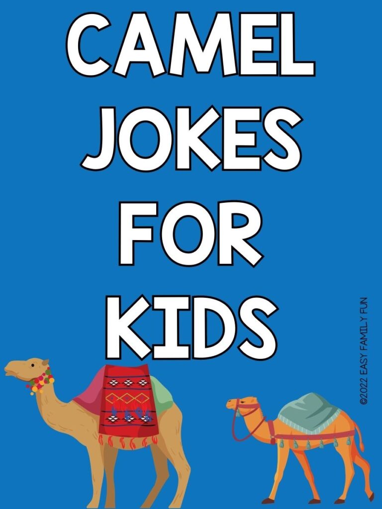 2 camels on blue background with white text that says "camel jokes for kids"