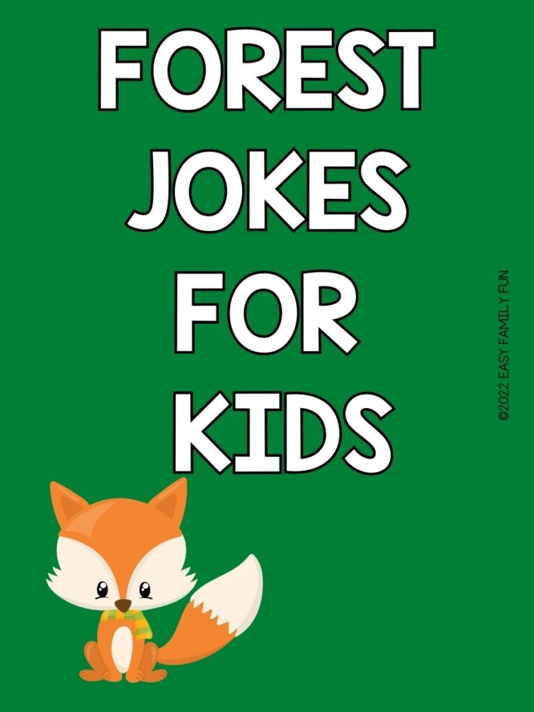 Forest jokes for kids with fox on green background 