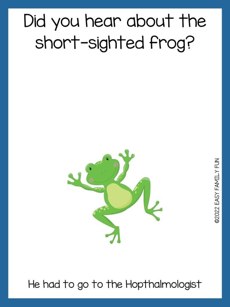 Green frog on a white background and navy blue border. 